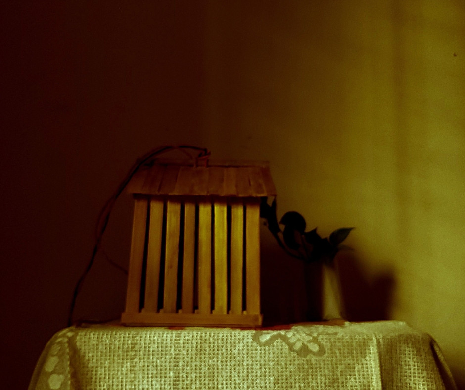 ব্যাম্বু নেস্ট লাইট (Bamboo Nest Light)